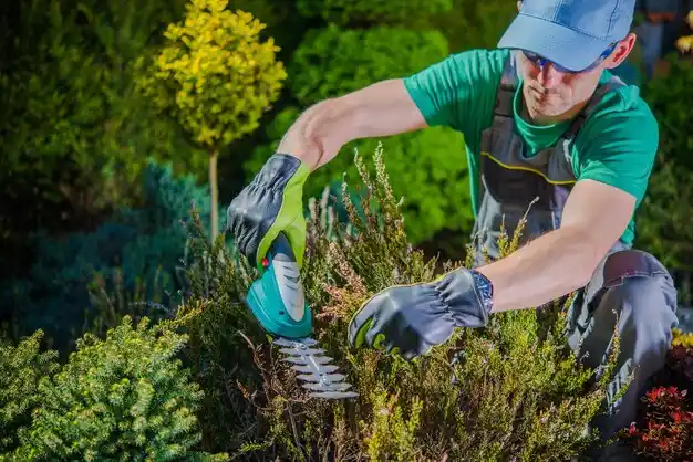 landscaping services Blue Ash